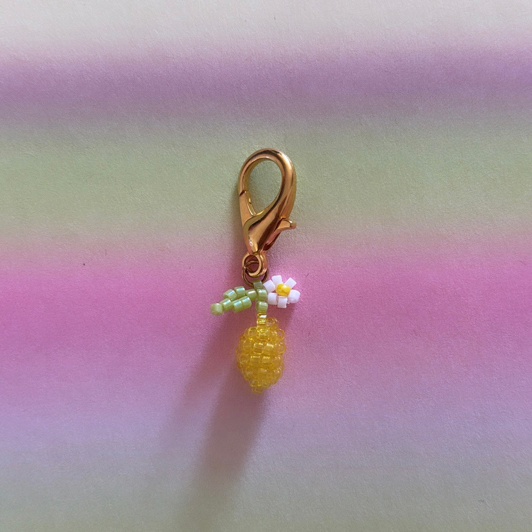 Charm de Plage Tutti Frutti